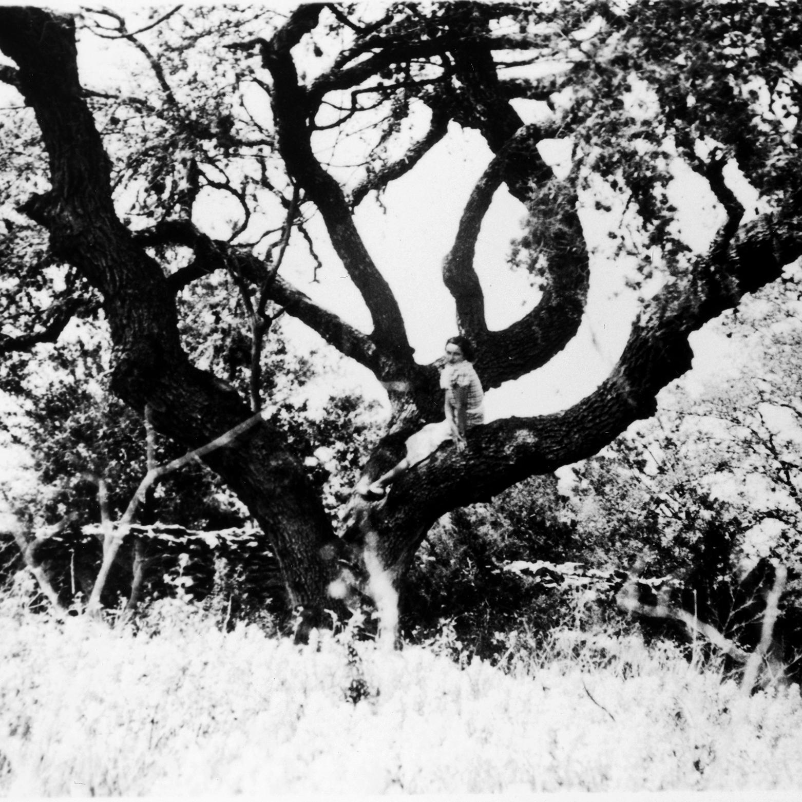 Young Lady Bird Johnson (Claudia Alta Taylor) sitting on the trunk of a large live oak tree
